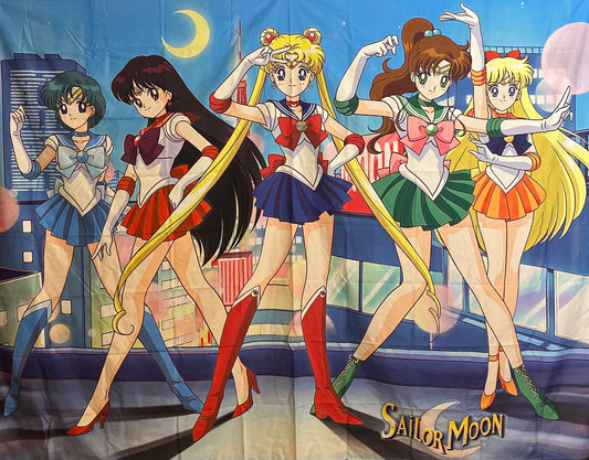 PRE-ORDER Artisan Series: Sailor Moon Quilted Panel Painting