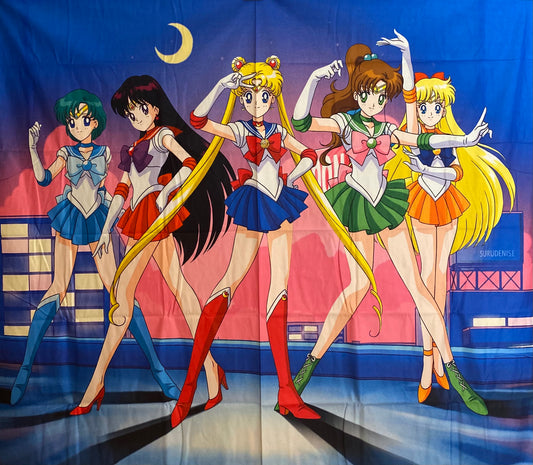PRE-ORDER Artisan Series: Sailor Moon Quilted Panel Painting